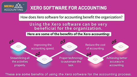 Xero Accounting Services in India